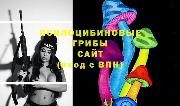 СК Козельск