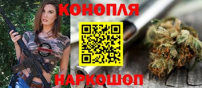шишки Гай