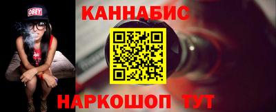 шишки Гай
