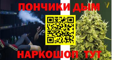 шишки Гай