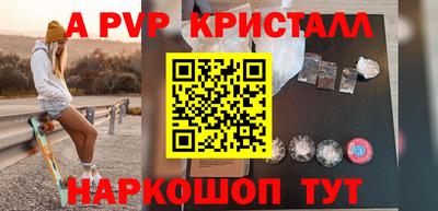 шишки Гай