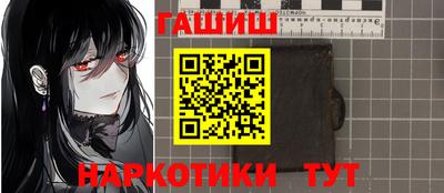 шишки Гай