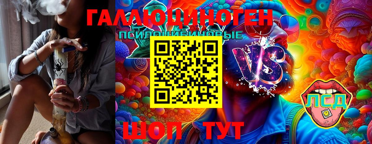 Псилоцибиновые грибы GOLDEN TEACHER  Псилоцибиновые грибы GOLDEN TEACHER  Вход с VPN  Калининград 