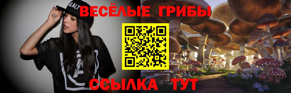 Псилоцибиновые грибы мицелий  Псилоцибиновые грибы мухоморы  Калининград 