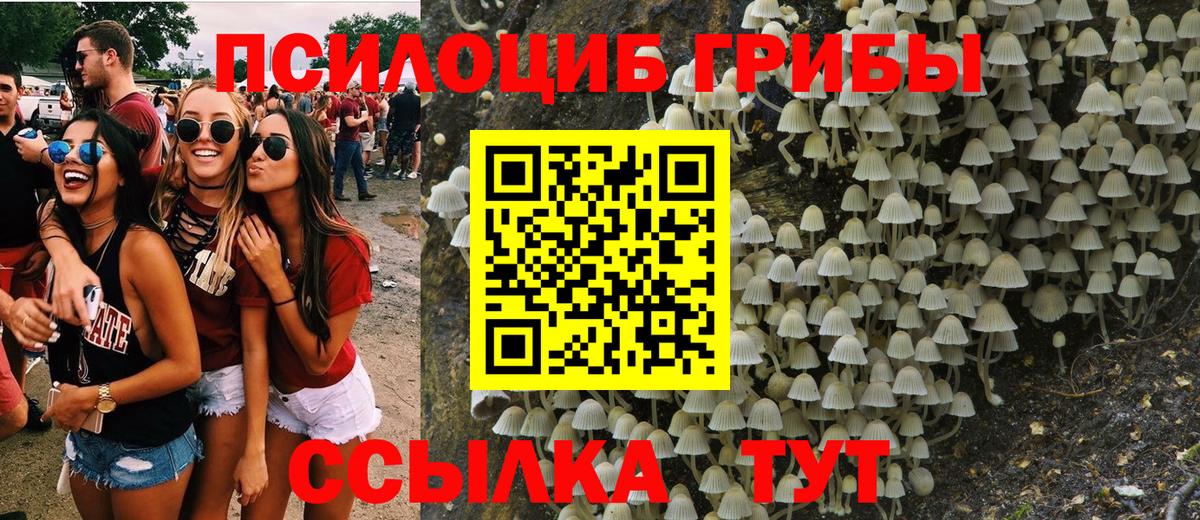 Галлюциногенные грибы мицелий Калининград